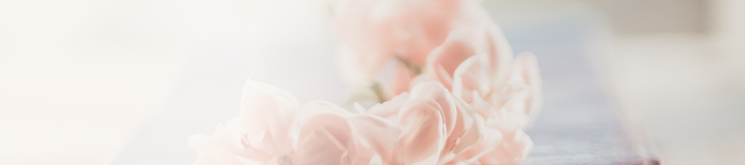 Närbild av mjukt rosa blommor i oskarp bakgrund.